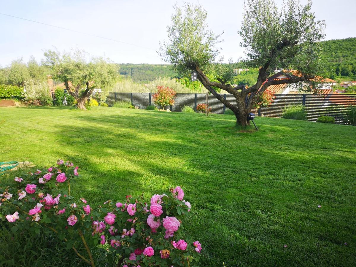 New Istrian Experience By Istrian Apartments Копер Экстерьер фото
